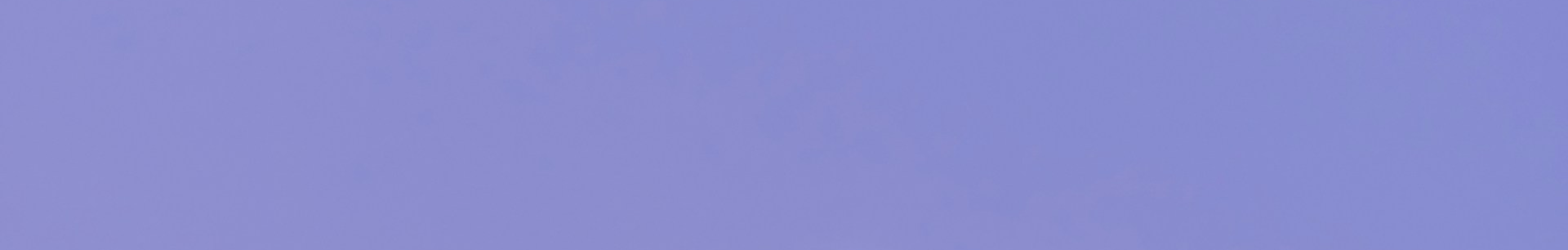 backgound purple